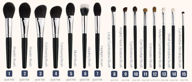 CAT-p009-lineup: Black handle silver-tone ferrule upright lineup