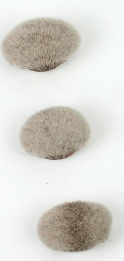 CAT-p050-grey-components: Loose gray brush-head components