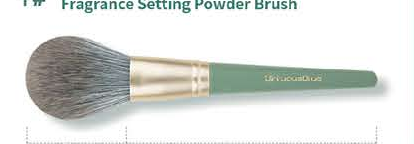 EN-p009-c01: Powder - Mint green handles, gold-tone ferrules, gray-brown heads