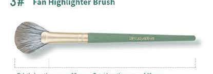 EN-p009-c03: Fan highlighter - Mint green handles, gold-tone ferrules, gray-brown heads