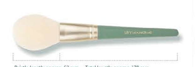 Powder - Mint green handles, gold-tone ferrules, cream heads