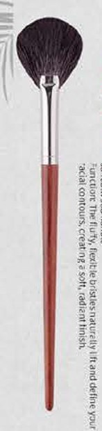 Fan highlighter - Red-brown tapered handles, silver-tone ferrules, dark and white-tipped heads