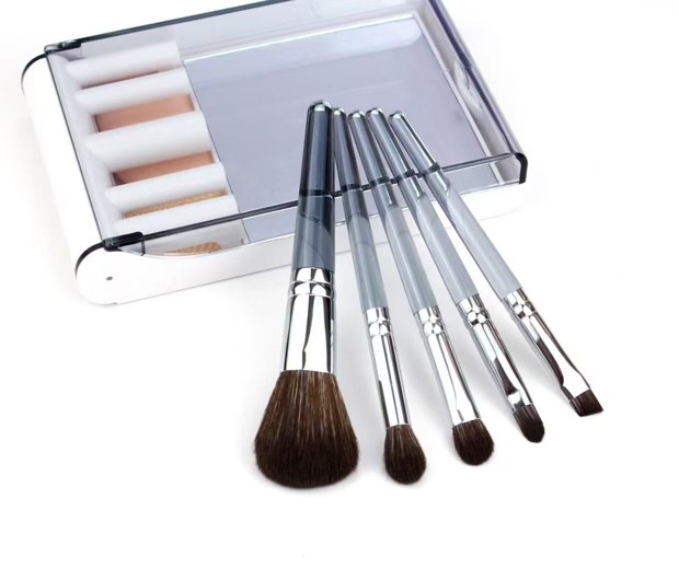Five smoky-clear brushes with an open white case behind