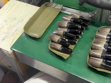 Compact brushes beside a flexible extraction hose