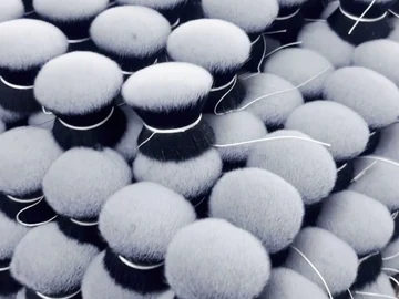 Round brush heads arranged across a tray