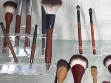 Upright brown-handle brushes in the sample cabinet