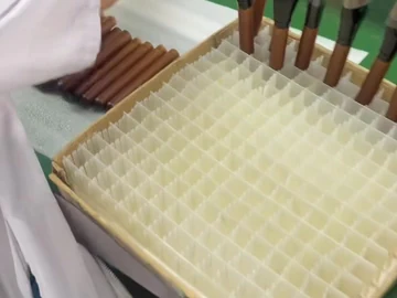 Upright long brushes beside a slotted tray