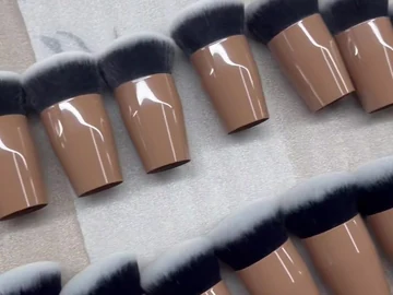 Another view of the aligned compact brushes